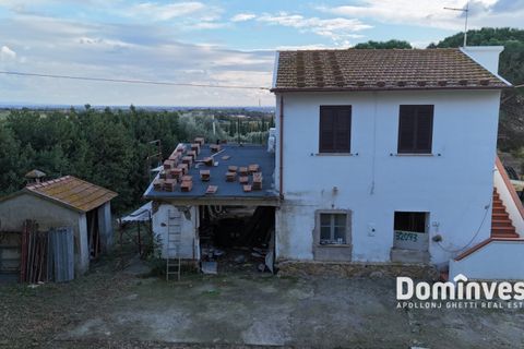 Landejendom i Capalbio, Grosseto, Capalbio - € 1.200.000 | Ref: v-227 - foto 2