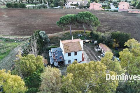 Landejendom i Capalbio, Grosseto, Capalbio - € 1.200.000 | Ref: v-227 - foto 3