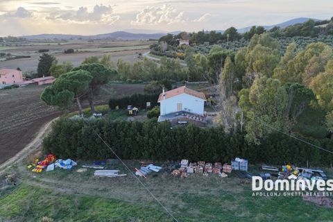 Landejendom i Capalbio, Grosseto, Capalbio - € 1.200.000 | Ref: v-227 - foto 5