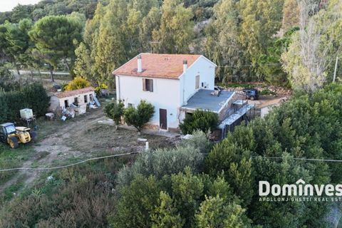 Landejendom i Capalbio, Grosseto, Capalbio - € 1.200.000 | Ref: v-227 - foto 6