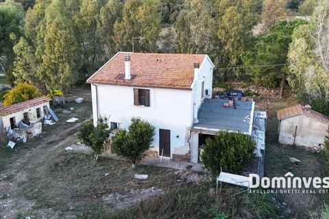 Landejendom i Capalbio, Grosseto, Capalbio - € 1.200.000 | Ref: v-227 - foto 7