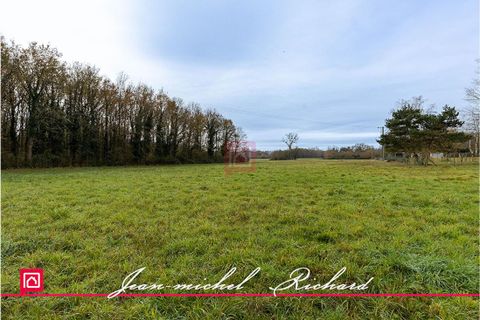 Helårsgrund i Billy, Loir-et-Cher, Billy - € 33.990 | Ref: 430690JMR - foto 3