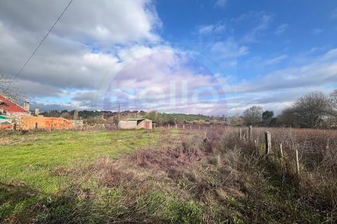 Helårsgrund i Tomar, Santarem, Tomar - € 55.000 | Ref: T 319 - foto 1