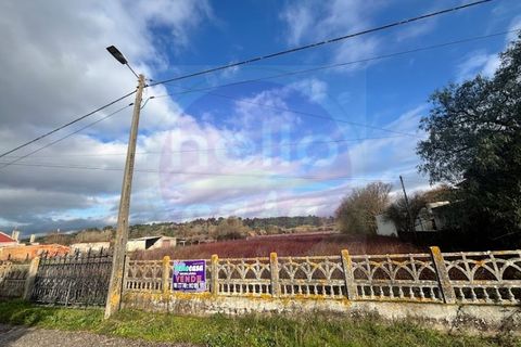 Helårsgrund i Tomar, Santarem, Tomar - € 55.000 | Ref: T 319 - foto 2