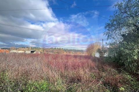 Helårsgrund i Tomar, Santarem, Tomar - € 55.000 | Ref: T 319 - foto 4