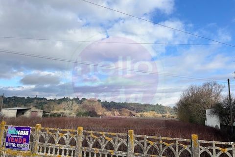 Helårsgrund i Tomar, Santarem, Tomar - € 55.000 | Ref: T 319 - foto 6