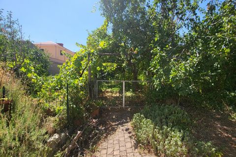 Villa i Acri, Cosenza, Acri - € 295.000 | Ref: 29616 - foto 11