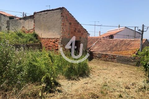 Terra a Maiorga, Leiria, Maiorga - € 75.000 | Ref: S4U132-V105 - foto 3