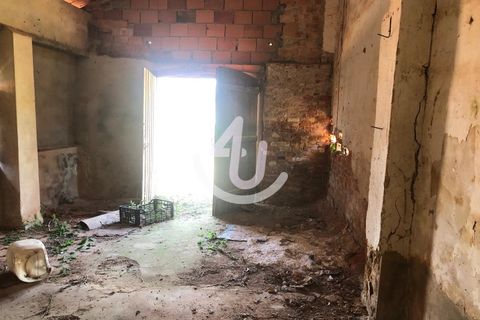 Terra a Maiorga, Leiria, Maiorga - € 75.000 | Ref: S4U132-V105 - foto 4