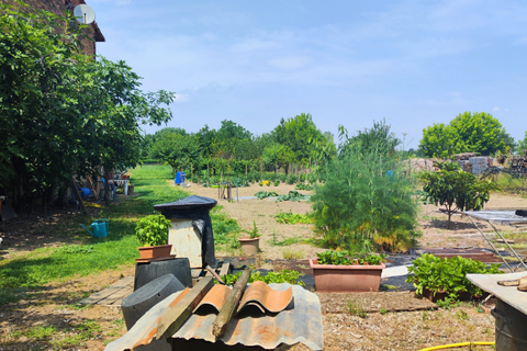 Rækkehus i Brescello, Reggio Emilia, Brescello - € 195.000 | Ref: PARMA709 - foto 19