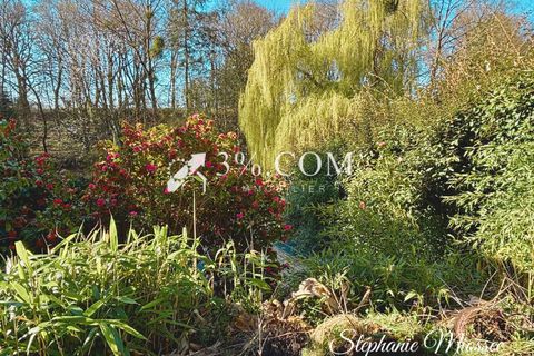 Landejendom i Saint-Donan, Cotes-d'Armor, Saint-Donan - € 169.950 | Ref: 271_V3550059467 - foto 12