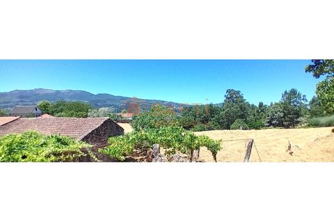 Landejendom i Podame, Viana do Castelo, Podame - € 57.500 | Ref: SAFTI:007449 - foto 4