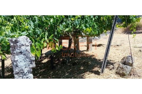 Landejendom i Podame, Viana do Castelo, Podame - € 57.500 | Ref: SAFTI:007449 - foto 8