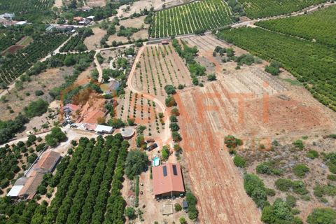 Helårsgrund i Algoz, Faro, Algoz - € 330.000 | Ref: SAFTI:007451 - foto 2