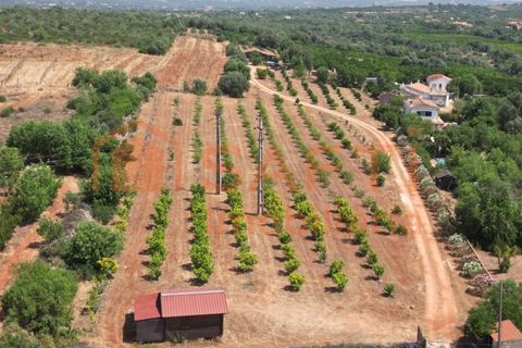 Helårsgrund i Algoz, Faro, Algoz - € 330.000 | Ref: SAFTI:007451 - foto 3
