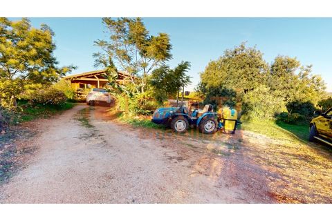Helårsgrund i Algoz, Faro, Algoz - € 330.000 | Ref: SAFTI:007451 - foto 15