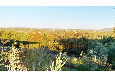 Helårsgrund i Algoz, Faro, Algoz - € 330.000 | Ref: SAFTI:007451 - foto 44