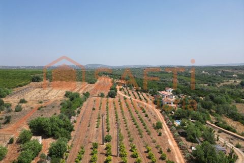Helårsgrund i Algoz, Faro, Algoz - € 330.000 | Ref: SAFTI:007451 - foto 48