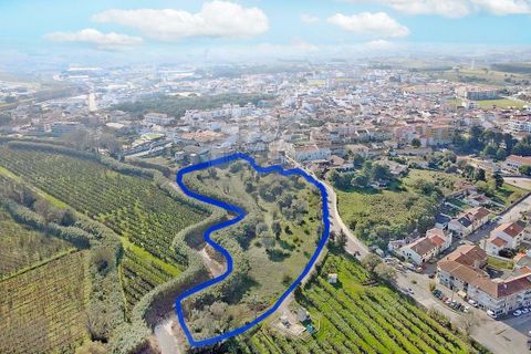 Lejlighed i Bombarral, Leiria, Bombarral - € 420.000 | Ref: 124181033-231 - foto 1