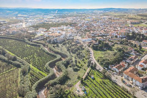 Lejlighed i Bombarral, Leiria, Bombarral - € 420.000 | Ref: 124181033-231 - foto 3
