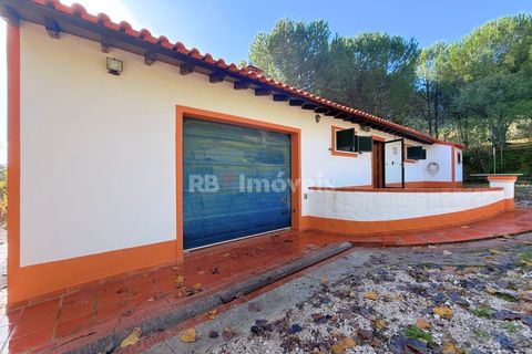 Farm i Tomar, Santarem, Tomar - € 395.000 | Ref: 01832-25 - foto 5