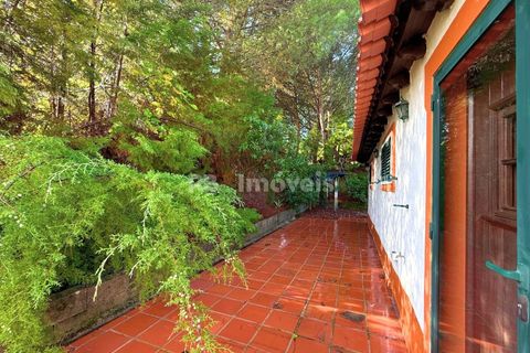Farm i Tomar, Santarem, Tomar - € 395.000 | Ref: 01832-25 - foto 7