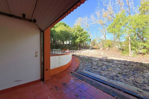 Farm i Tomar, Santarem, Tomar - € 395.000 | Ref: 01832-25 - foto 8