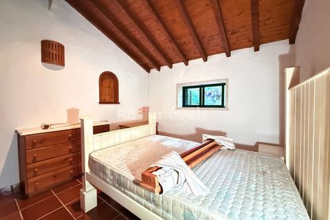 Farm i Tomar, Santarem, Tomar - € 395.000 | Ref: 01832-25 - foto 11
