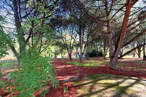 Farm i Tomar, Santarem, Tomar - € 395.000 | Ref: 01832-25 - foto 14