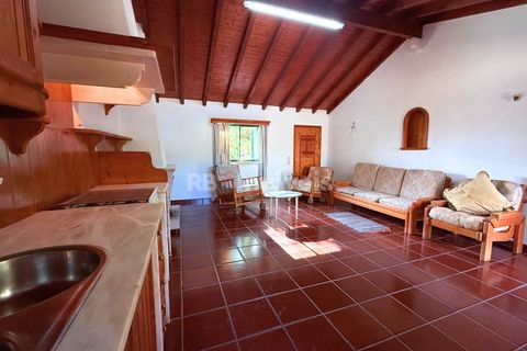 Farm i Tomar, Santarem, Tomar - € 395.000 | Ref: 01832-25 - foto 16