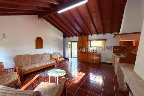 Farm i Tomar, Santarem, Tomar - € 395.000 | Ref: 01832-25 - foto 18