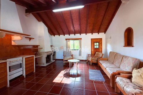 Farm i Tomar, Santarem, Tomar - € 395.000 | Ref: 01832-25 - foto 22