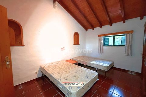 Farm i Tomar, Santarem, Tomar - € 395.000 | Ref: 01832-25 - foto 30