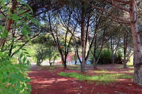 Farm i Tomar, Santarem, Tomar - € 395.000 | Ref: 01832-25 - foto 31