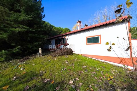 Farm i Tomar, Santarem, Tomar - € 395.000 | Ref: 01832-25 - foto 32