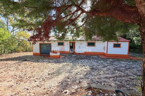 Farm i Tomar, Santarem, Tomar - € 395.000 | Ref: 01832-25 - foto 33