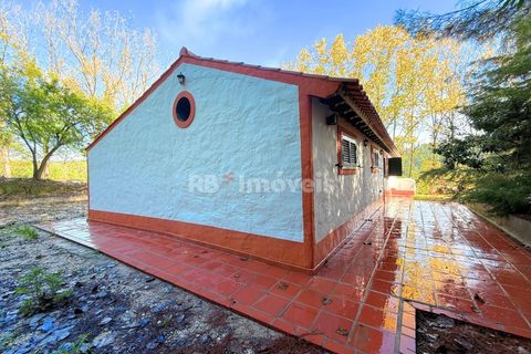 Farm i Tomar, Santarem, Tomar - € 395.000 | Ref: 01832-25 - foto 38