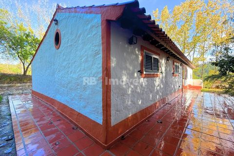 Farm i Tomar, Santarem, Tomar - € 395.000 | Ref: 01832-25 - foto 39