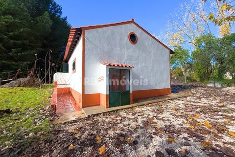 Farm i Tomar, Santarem, Tomar - € 395.000 | Ref: 01832-25 - foto 40
