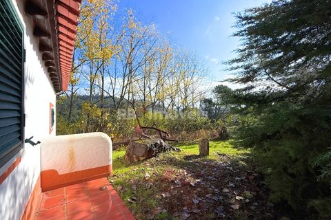 Farm i Tomar, Santarem, Tomar - € 395.000 | Ref: 01832-25 - foto 41