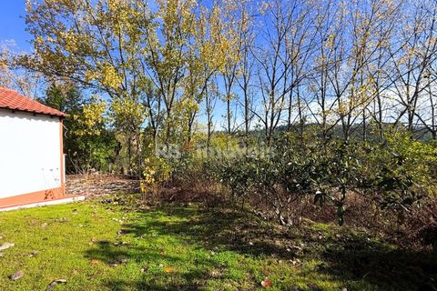 Farm i Tomar, Santarem, Tomar - € 395.000 | Ref: 01832-25 - foto 42