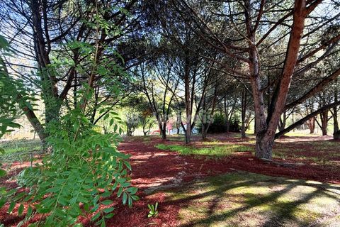 Farm i Tomar, Santarem, Tomar - € 395.000 | Ref: 01832-25 - foto 43