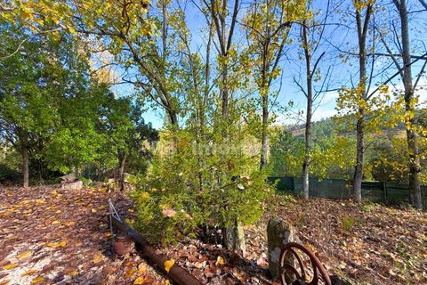 Farm i Tomar, Santarem, Tomar - € 395.000 | Ref: 01832-25 - foto 44