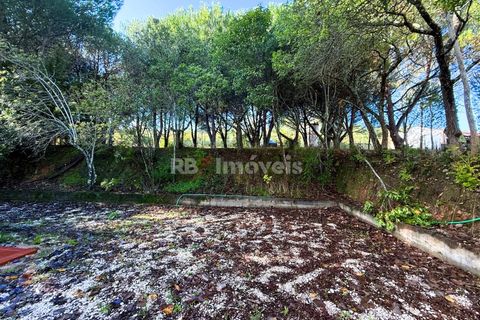 Farm i Tomar, Santarem, Tomar - € 395.000 | Ref: 01832-25 - foto 46