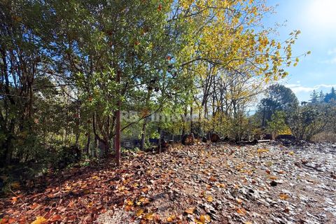 Farm i Tomar, Santarem, Tomar - € 395.000 | Ref: 01832-25 - foto 47