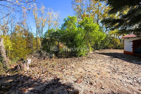 Farm i Tomar, Santarem, Tomar - € 395.000 | Ref: 01832-25 - foto 48