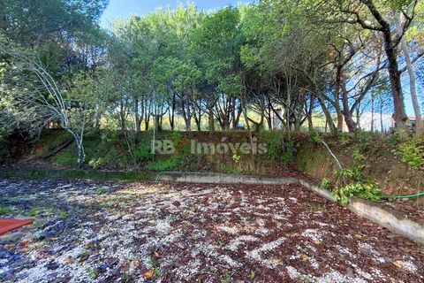 Farm i Tomar, Santarem, Tomar - € 395.000 | Ref: 01832-25 - foto 49