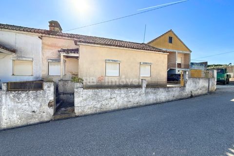 Villa i Asseiceira, Santarem, Asseiceira - € 70.000 | Ref: 01835-25 - foto 1