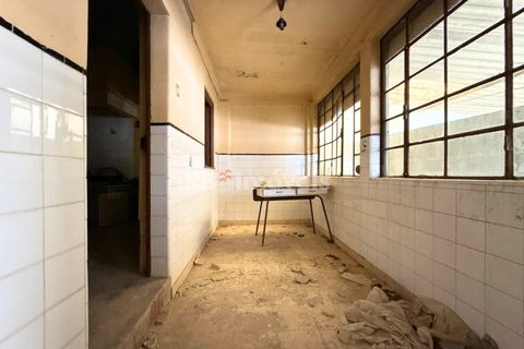 Villa i Asseiceira, Santarem, Asseiceira - € 70.000 | Ref: 01835-25 - foto 4