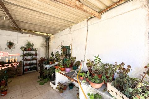 Villa i Asseiceira, Santarem, Asseiceira - € 70.000 | Ref: 01835-25 - foto 7